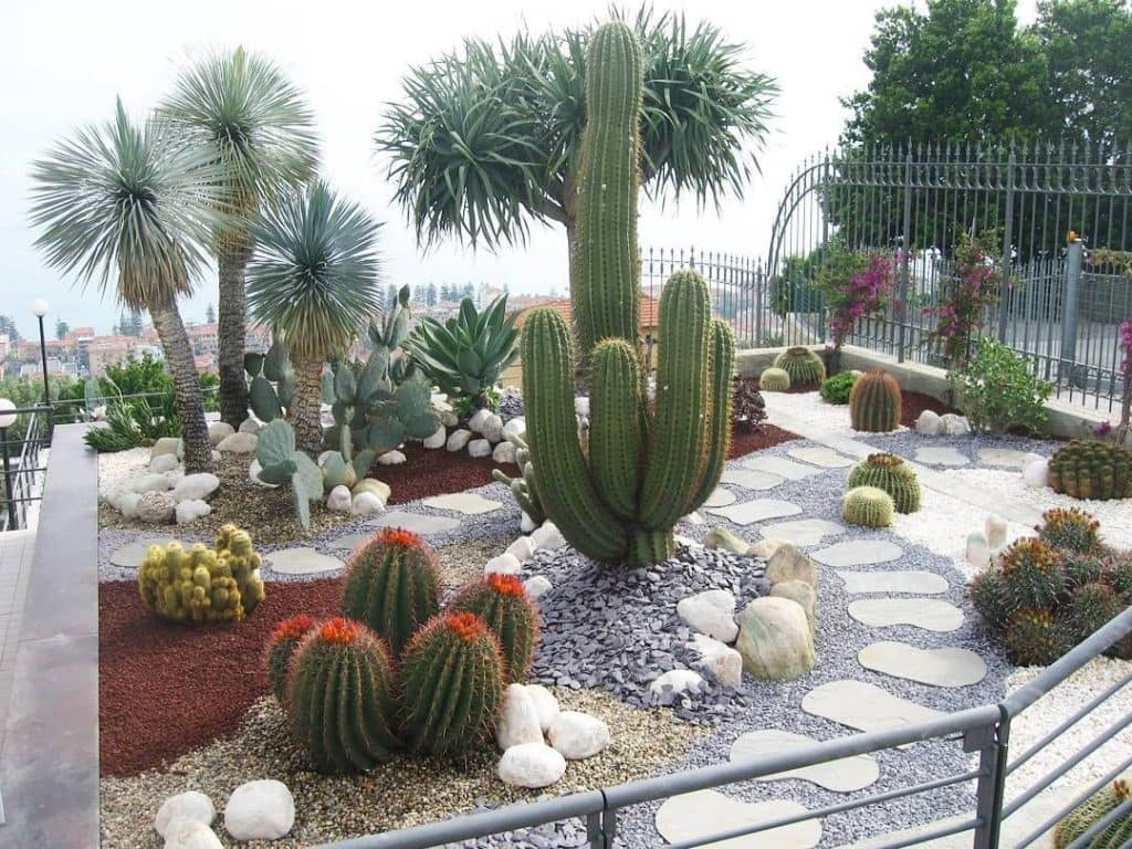 Garden Makeover in Queen Creek