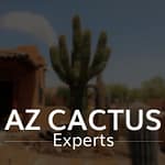 AZ Cactus Experts